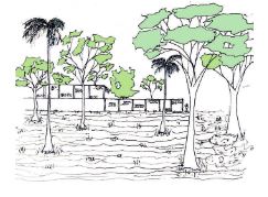 Vivienda Unifamiliar - Autor: NICOLAS TANGREDI