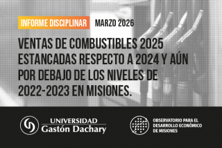 El ODEM analizó la evolución de las ventas de combustibles en Misiones durante 2025